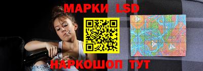 гашик Дубна
