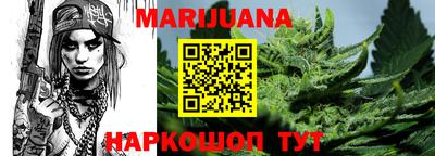 гашик Дубна