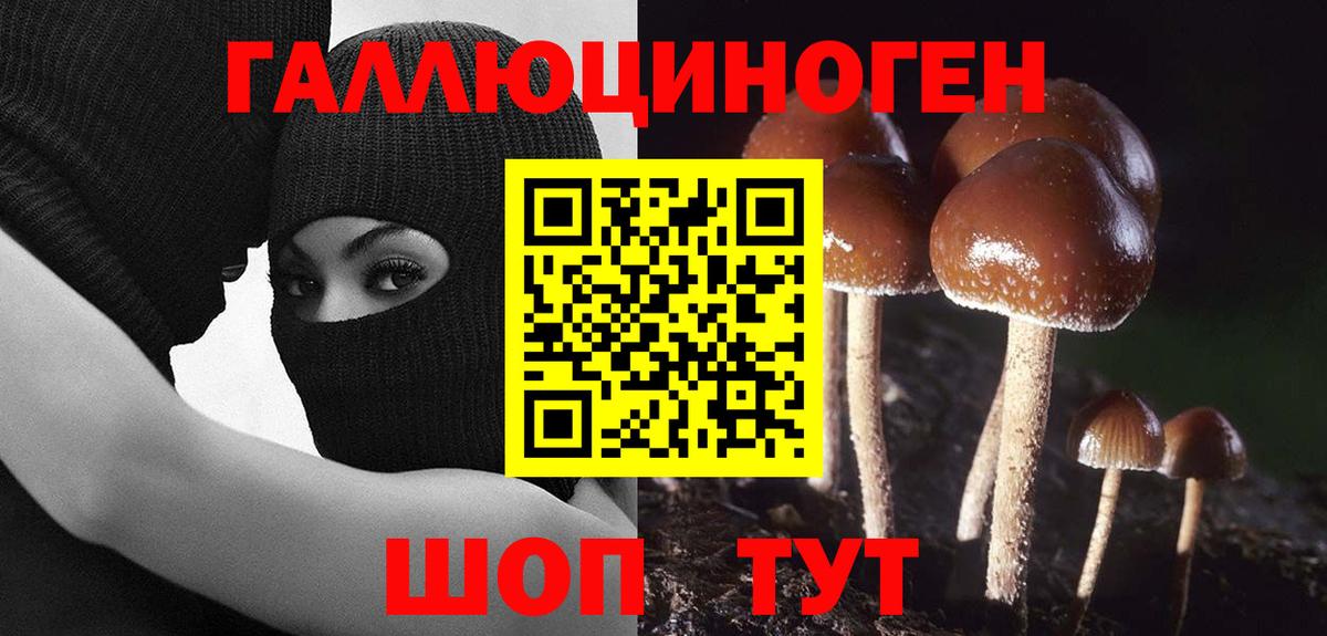 Псилоцибиновые грибы Psilocybe  Галлюциногенные грибы Psilocybe  Карачаевск  что такое наркотик  Вход с VPN 